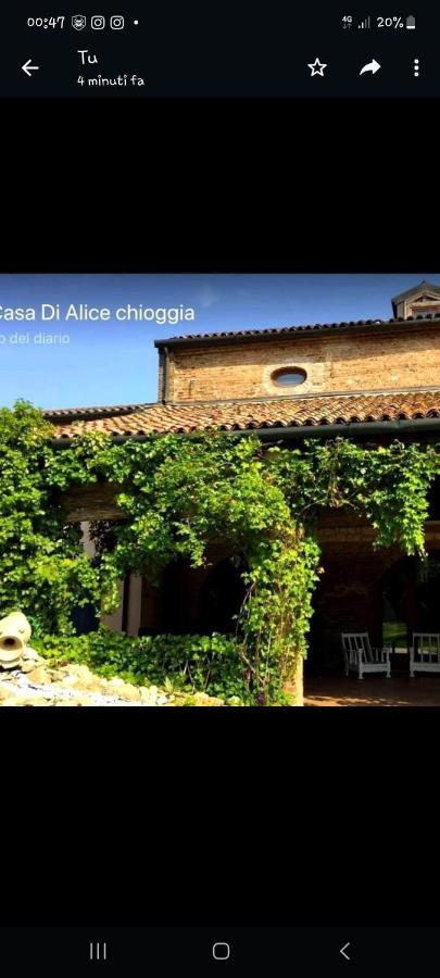 مبيت وإفطار كيودجا Casa Di Alice المظهر الخارجي الصورة